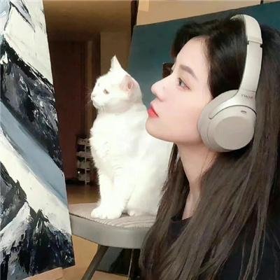 杀机四起